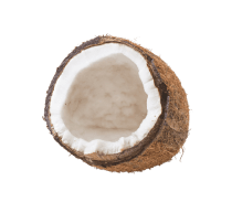 coconut