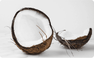 The Journey of Coconut: From Farm to Your Table