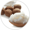 Shea butter/nuts